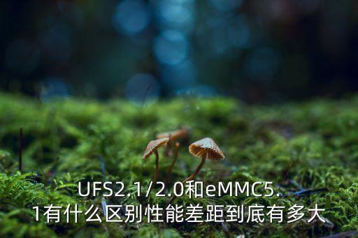 ufs與emmc自動(dòng)檢測