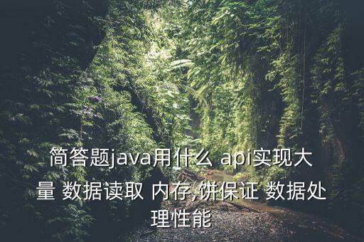 簡答題java用什么 api實現大量 數據讀取 內存,餅保證 數據處理性能