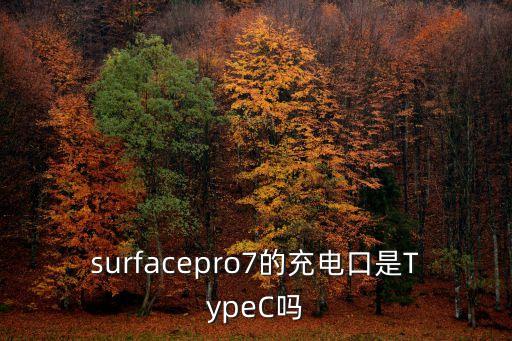 surfacepro7的充電口是TypeC嗎