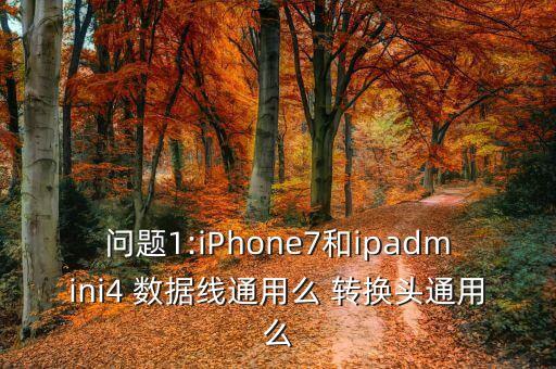 問題1:iPhone7和ipadmini4 數(shù)據(jù)線通用么 轉(zhuǎn)換頭通用么