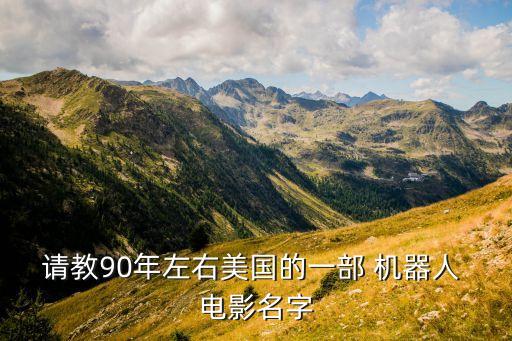 請教90年左右美國的一部 機(jī)器人 電影名字