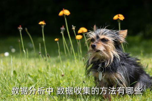 數(shù)據(jù)挖掘 增量算法,十大數(shù)據(jù)挖掘經(jīng)典算法