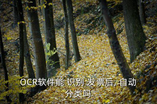 發(fā)票自動(dòng)識(shí)別,ocr識(shí)別技術(shù)自動(dòng)采集各種票據(jù)信息并完成分析