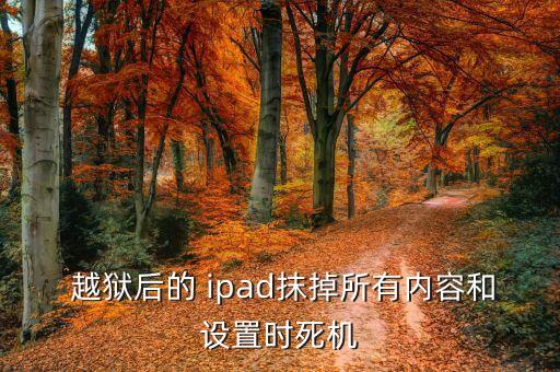  越獄后的 ipad抹掉所有內(nèi)容和設(shè)置時死機(jī)