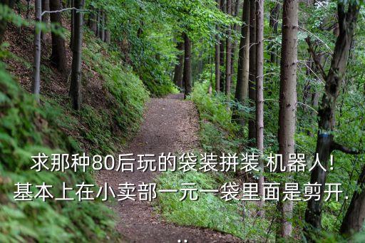 分期組裝機(jī)器人,自己組裝機(jī)器人戰(zhàn)斗的游戲