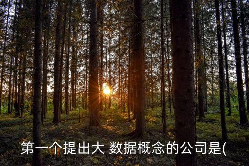 第一個提出大 數(shù)據(jù)概念的公司是(