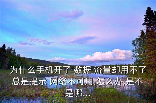 為什么手機(jī)開了 數(shù)據(jù) 流量卻用不了總是提示 網(wǎng)絡(luò)不可用,怎么辦,是不是哪...