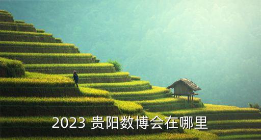 貴陽大數(shù)據(jù)博覽會(huì)召開時(shí)間表,大數(shù)據(jù)博覽會(huì)2023貴陽舉辦