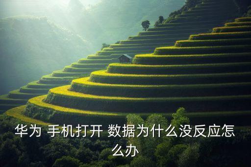 華為 手機打開 數(shù)據(jù)為什么沒反應怎么辦