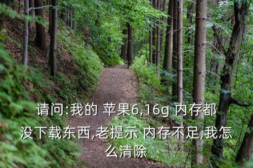 請問:我的 蘋果6,16g 內(nèi)存都沒下載東西,老提示 內(nèi)存不足,我怎么清除