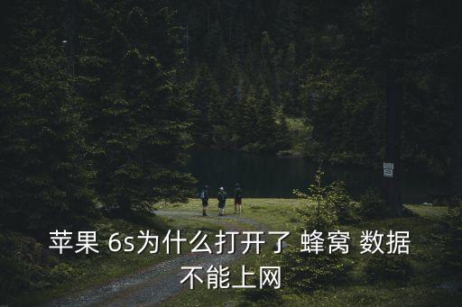 美版6s蜂窩移動數(shù)據(jù),蘋果6s使用無線局域網(wǎng)與蜂窩移動的應用