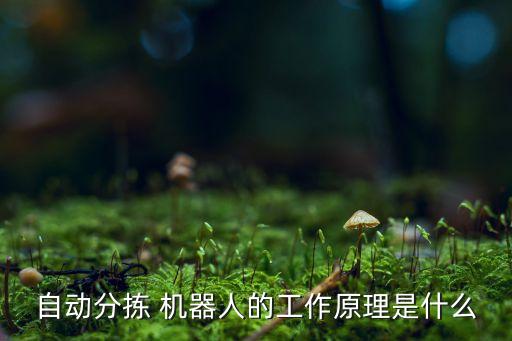 自動(dòng)分揀 機(jī)器人的工作原理是什么