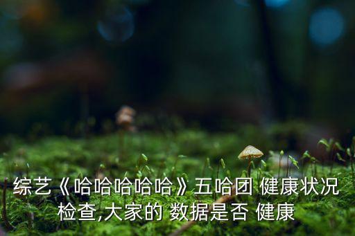 綜藝《哈哈哈哈哈》五哈團 健康狀況檢查,大家的 數(shù)據(jù)是否 健康