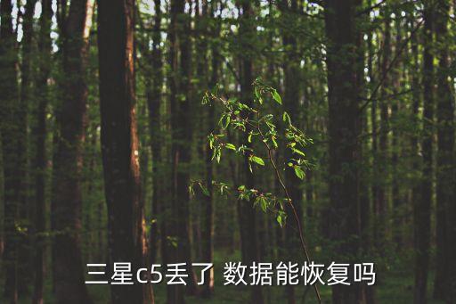 三星 數(shù)據(jù)丟失,excel數(shù)據(jù)丟失如何恢復(fù)