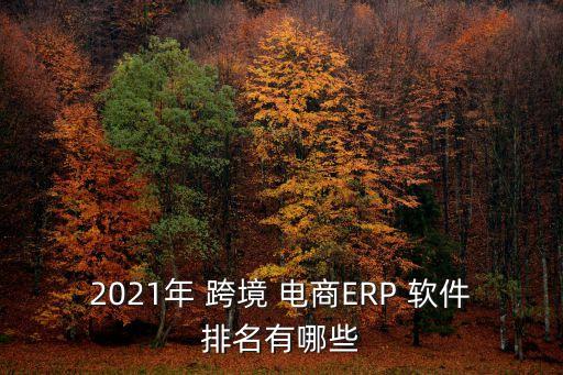 2021年 跨境 電商ERP 軟件排名有哪些