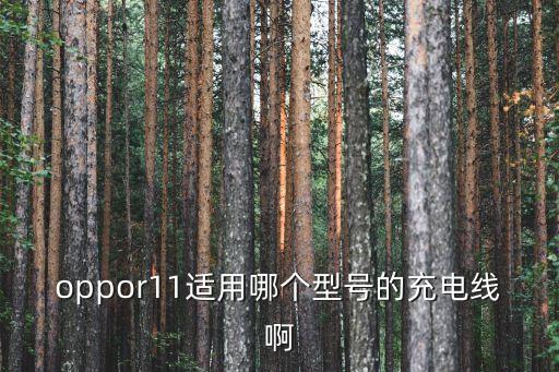 opooR11數(shù)據(jù)線多長