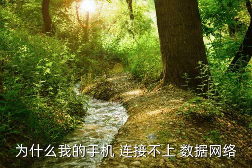 為什么我的手機 連接不上 數(shù)據(jù)網(wǎng)絡(luò)