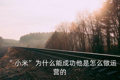 “ 小米”為什么能成功他是怎么做運(yùn)營(yíng)的