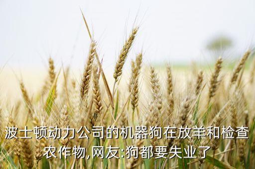 波士頓動力公司的機器狗在放羊和檢查農(nóng)作物,網(wǎng)友:狗都要失業(yè)了