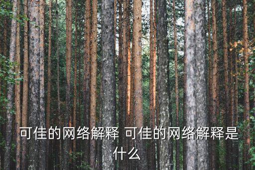 機(jī)器人可佳
