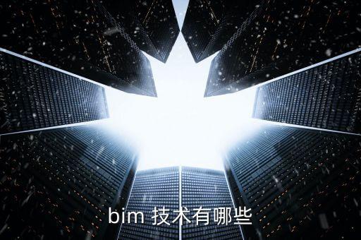bim 技術(shù)有哪些