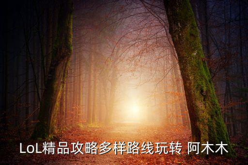 LoL精品攻略多樣路線玩轉(zhuǎn) 阿木木