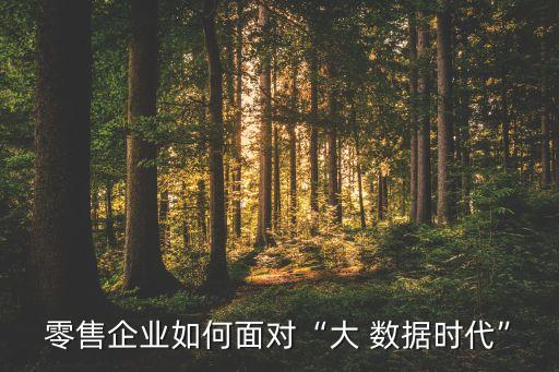 零售企業(yè)如何面對“大 數(shù)據(jù)時代”