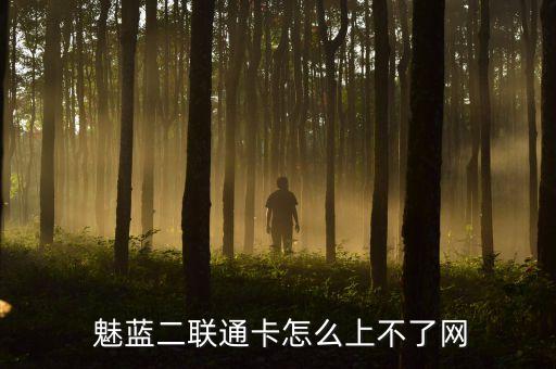 魅藍(lán)2上不了數(shù)據(jù)網(wǎng)