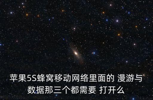蘋果5S蜂窩移動網(wǎng)絡(luò)里面的 漫游與數(shù)據(jù)那三個都需要 打開么