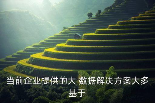 當(dāng)前企業(yè)提供的大 數(shù)據(jù)解決方案大多基于