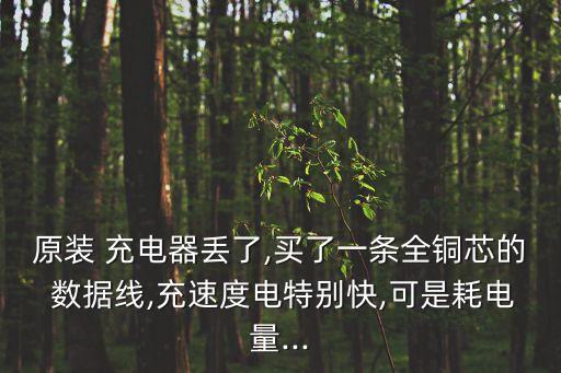 原裝 充電器丟了,買了一條全銅芯的 數(shù)據(jù)線,充速度電特別快,可是耗電量...