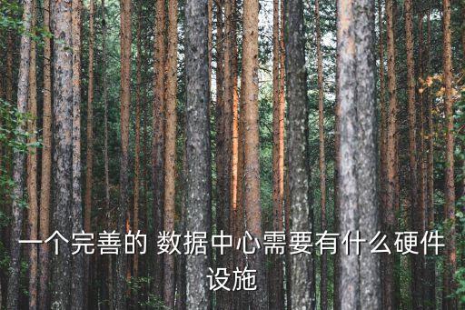一個(gè)完善的 數(shù)據(jù)中心需要有什么硬件設(shè)施