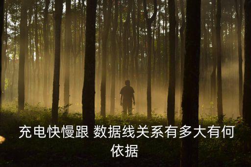  充電快慢跟 數(shù)據(jù)線關系有多大有何依據(jù)