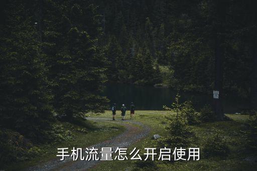 怎么激活移動數(shù)據(jù),激活iphone可以用移動數(shù)據(jù)流量嗎