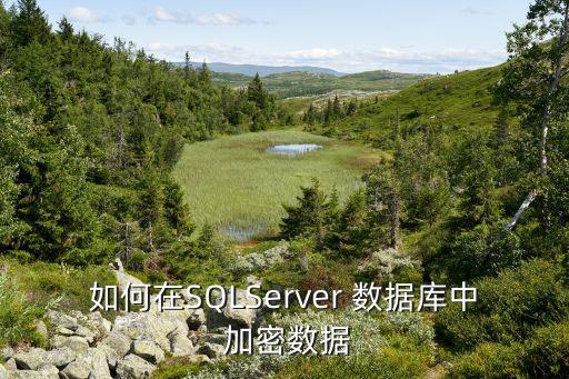 如何在SQLServer 數(shù)據(jù)庫(kù)中 加密數(shù)據(jù)