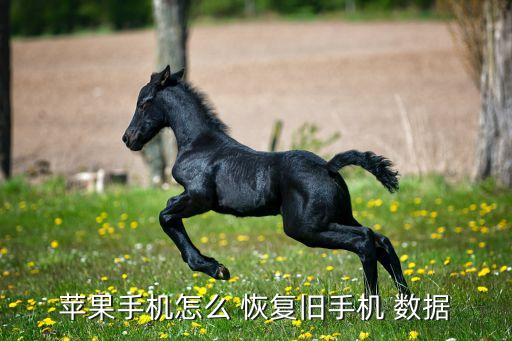 iphone怎樣恢復(fù)數(shù)據(jù),IPHONE怎樣退出恢復(fù)模式