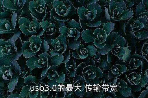 usb3.0的最大 傳輸帶寬
