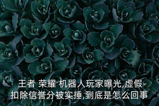 關(guān)于王者榮耀的機(jī)器人,王者榮耀安琪拉讓機(jī)器人玩自己