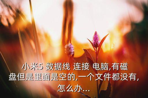  小米5 數(shù)據(jù)線 連接 電腦,有磁盤但是里面是空的,一個文件都沒有,怎么辦...