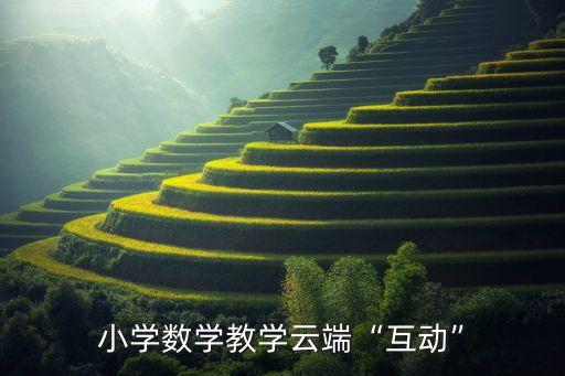 小學數(shù)學教學云端“互動”