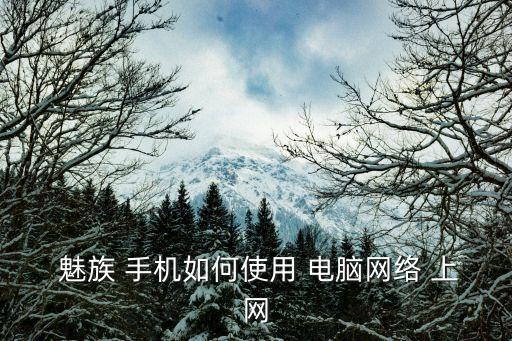  魅族 手機(jī)如何使用 電腦網(wǎng)絡(luò) 上網(wǎng)