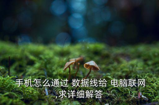  手機(jī)怎么通過 數(shù)據(jù)線給 電腦聯(lián)網(wǎng),求詳細(xì)解答
