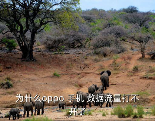 為什么oppo 手機 數(shù)據(jù)流量打不開了