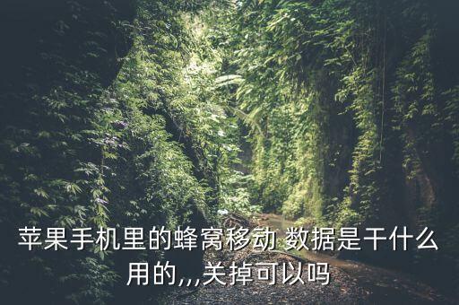 蘋果手機(jī)里的蜂窩移動 數(shù)據(jù)是干什么用的,,,關(guān)掉可以嗎