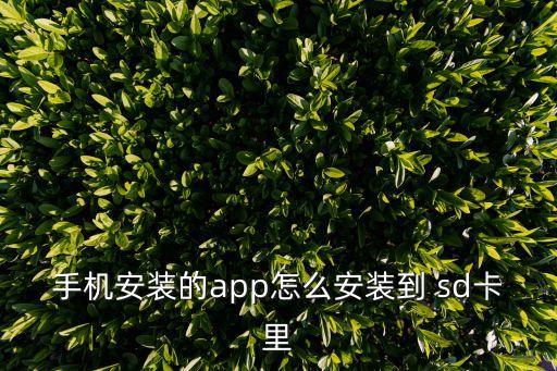 miui8應(yīng)用數(shù)據(jù)移到sd卡