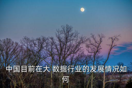 中國互聯(lián)網(wǎng)經(jīng)濟(jì)核心數(shù)據(jù)報告,互聯(lián)網(wǎng)金融最核心的資源是大數(shù)據(jù)