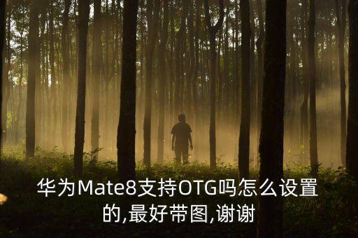 mate8換數(shù)據(jù)線,Mate8換外屏