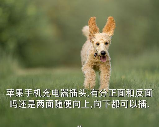 不分正反數(shù)據(jù)線,iqoo11pro數(shù)據(jù)線不分正反嗎