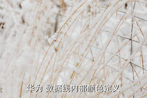 華為 數(shù)據(jù)線內(nèi)部顏色定義