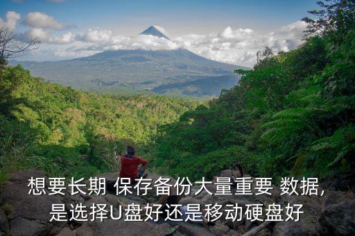 想要長(zhǎng)期 保存?zhèn)浞荽罅恐匾?數(shù)據(jù),是選擇U盤好還是移動(dòng)硬盤好
